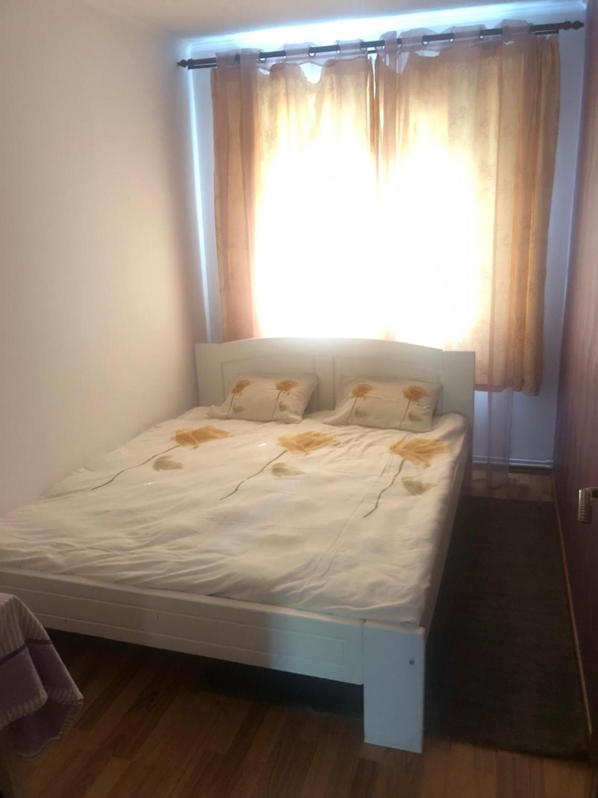 Apartament Cu 3 Camere La Poala Muntilor Fagaras Victoria  Exterior photo
